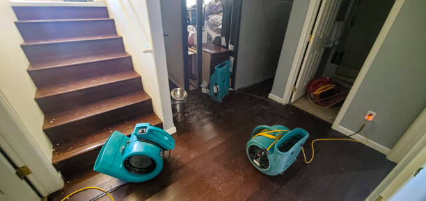 Best Water damage restoration specialists  in Arbury Hls, IL