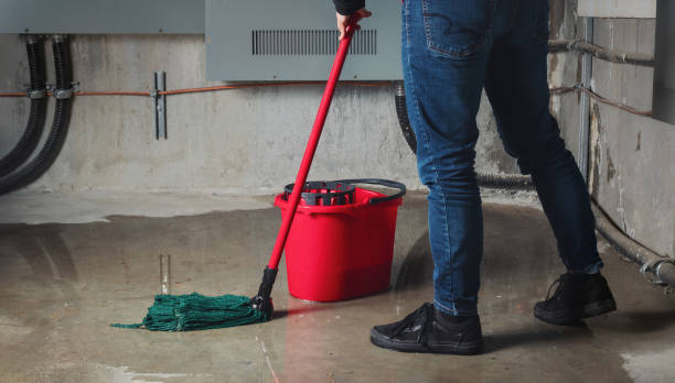 Best Local water damage restoration  in Arbury Hls, IL