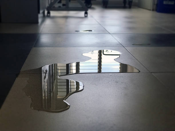 Best Water damage restoration near me  in Arbury Hls, IL